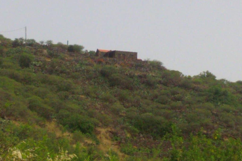 Casa Rural La Casa De La Lima Las Rosas  Extérieur photo